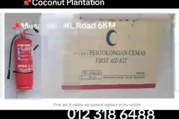 Rompin, Pahang, 📌1,000 Acres Land for Sale  📌Coconut Plantation Estate  📌Muaazam - KL Road 6KM