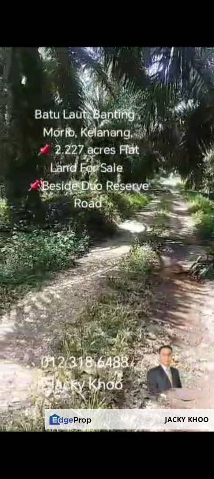 Batu Laut, Banting , Morib, Kelanang, 📌 2.227 acres Flat Land For Sale  📌Beside Duo Reserve Road, Selangor, Banting