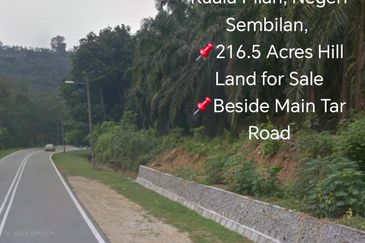Kuala Pilah, Negeri Sembilan,  📌216.5 Acres Hill Land for Sale 📌Beside Main Tar Road  💥Freehold  