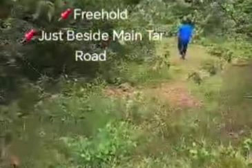 Rembau, Pedas, Negeri Sembilan,  📌9.548 Acres Hill Land for Sale 📌Freehold 📌Just Beside Main Tar Road 