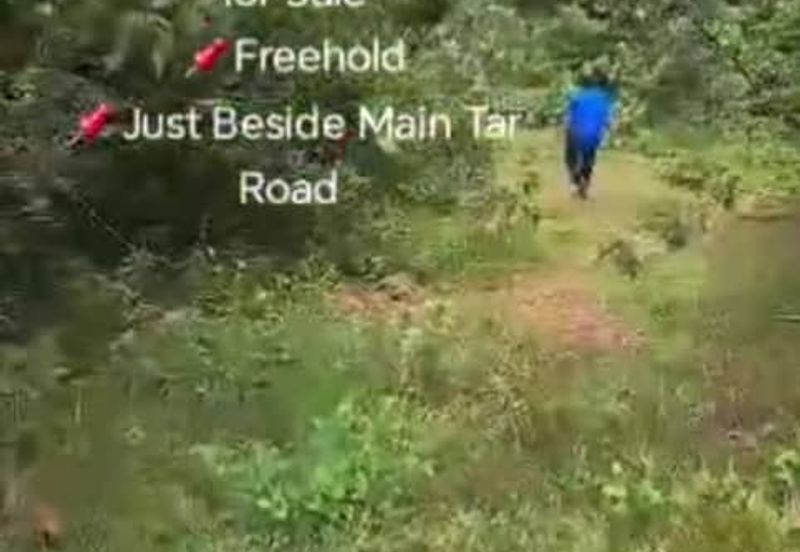 Rembau, Pedas, Negeri Sembilan,  📌9.548 Acres Hill Land for Sale 📌Freehold 📌Just Beside Main Tar Road 