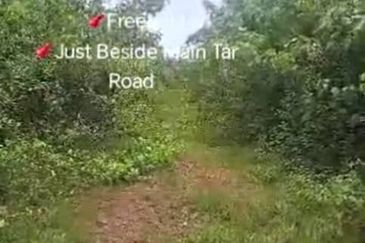Rembau, Pedas, Negeri Sembilan,  📌9.548 Acres Hill Land for Sale 📌Freehold 📌Just Beside Main Tar Road 