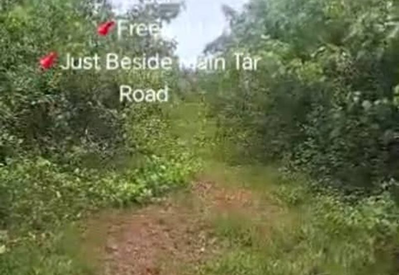 Rembau, Pedas, Negeri Sembilan,  📌9.548 Acres Hill Land for Sale 📌Freehold 📌Just Beside Main Tar Road 