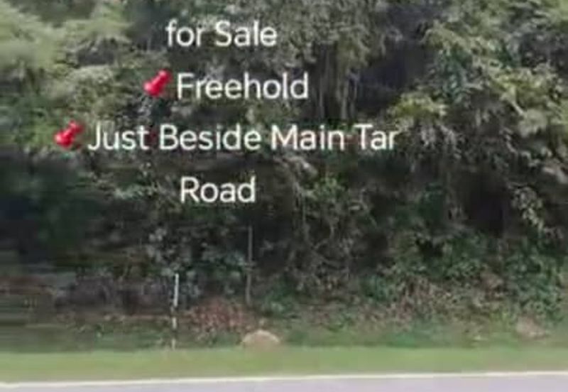 Rembau, Pedas, Negeri Sembilan,  📌9.548 Acres Hill Land for Sale 📌Freehold 📌Just Beside Main Tar Road 