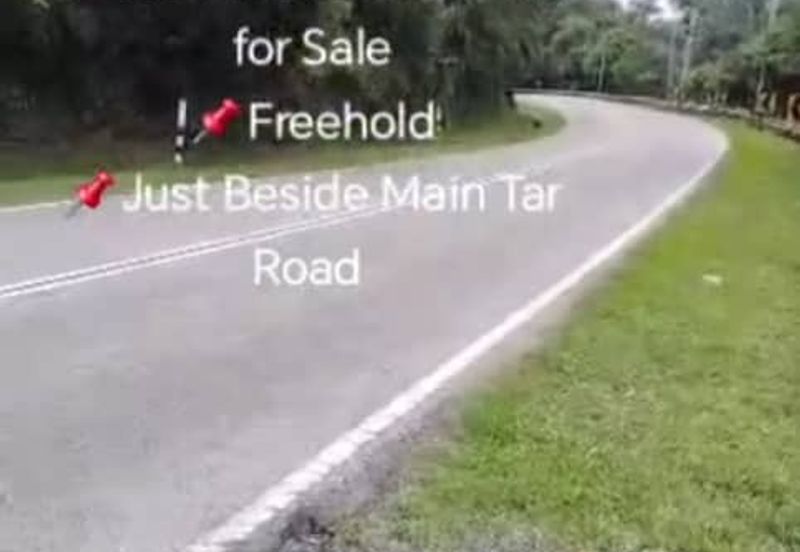 Rembau, Pedas, Negeri Sembilan,  📌9.548 Acres Hill Land for Sale 📌Freehold 📌Just Beside Main Tar Road 
