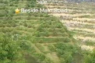 Raub, Bentong, Gua Musang ,Pahang ⭐47 Acre Land for Sale ⭐Beside Main Tar Road 