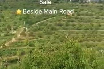 Raub, Bentong, Gua Musang ,Pahang ⭐47 Acre Land for Sale ⭐Beside Main Tar Road 