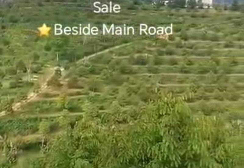 Raub, Bentong, Gua Musang ,Pahang ⭐47 Acre Land for Sale ⭐Beside Main Tar Road 