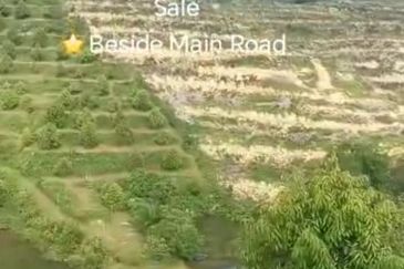 Raub, Bentong, Gua Musang ,Pahang ⭐47 Acre Land for Sale ⭐Beside Main Tar Road 