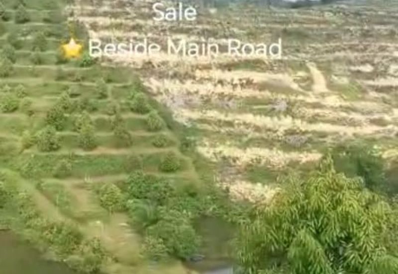 Raub, Bentong, Gua Musang ,Pahang ⭐47 Acre Land for Sale ⭐Beside Main Tar Road 