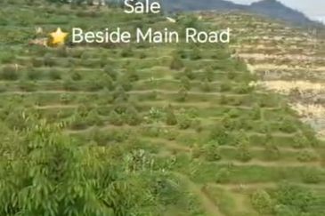 Raub, Bentong, Gua Musang ,Pahang ⭐47 Acre Land for Sale ⭐Beside Main Tar Road 