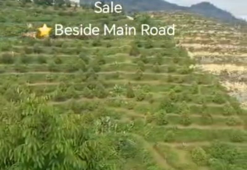 Raub, Bentong, Gua Musang ,Pahang ⭐47 Acre Land for Sale ⭐Beside Main Tar Road 