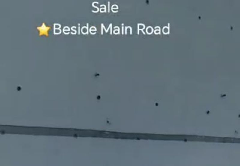 Raub, Bentong, Gua Musang ,Pahang ⭐47 Acre Land for Sale ⭐Beside Main Tar Road 