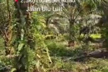 Pahang, Maran, Luit , 📌988 acres Palm Oil Land for SALE 📌2.5km to Main Road Jalan Ulu Luit 