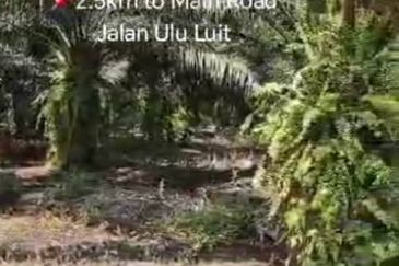 Pahang, Maran, Luit , 📌988 acres Palm Oil Land for SALE 📌2.5km to Main Road Jalan Ulu Luit 