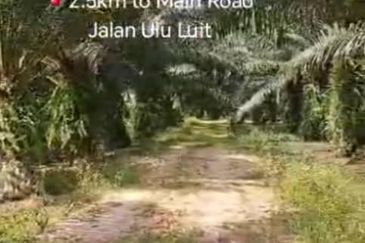 Pahang, Maran, Luit , 📌988 acres Palm Oil Land for SALE 📌2.5km to Main Road Jalan Ulu Luit 