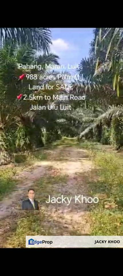 Pahang, Maran, Luit , 📌988 acres Palm Oil Land for SALE 📌2.5km to Main Road Jalan Ulu Luit , Pahang, Maran Mengkarak