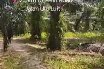 Pahang, Maran, Luit , 📌988 acres Palm Oil Land for SALE 📌2.5km to Main Road Jalan Ulu Luit 