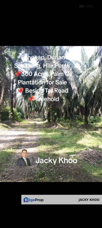 Langkap, Durian Sebatang, Hilir Perak, 📌300 Acres Palm Oil Plantation for Sale  📌 Beside Tar Road  📌 Freehold , Perak, Kampong Gajah