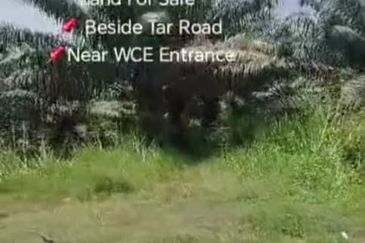 Sungai Sedu @ Tanjung Dua Belas