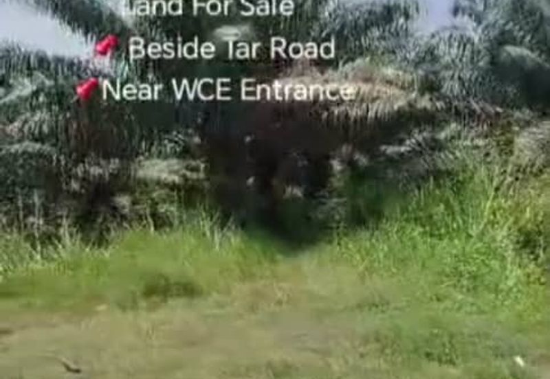 Sungai Sedu @ Tanjung Dua Belas