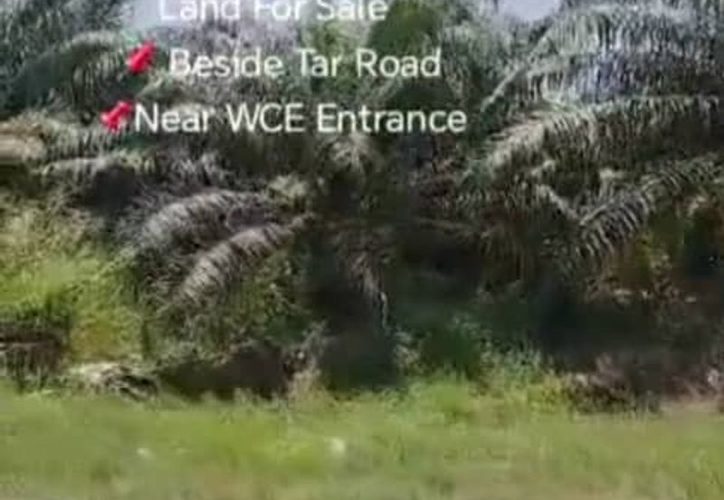 Sungai Sedu @ Tanjung Dua Belas