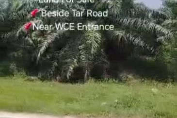 Sungai Sedu @ Tanjung Dua Belas