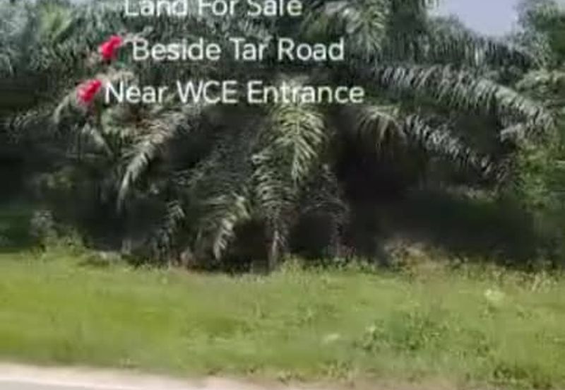 Sungai Sedu @ Tanjung Dua Belas