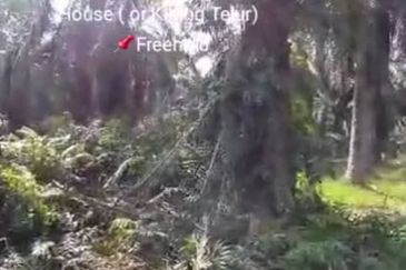 Jalan Kampung Bukit Jeram