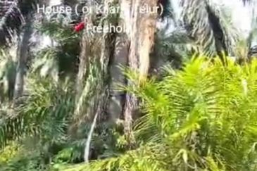 Jalan Kampung Bukit Jeram