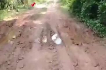 Jalan Kampung Bukit Jeram