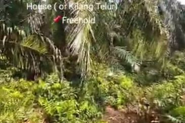 Jalan Kampung Bukit Jeram