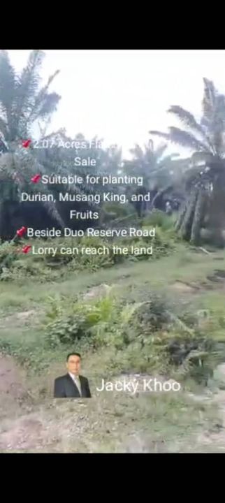 Banting Land for Sale, Sungai Kelambu 2, Banting,  📌2.07 Acres Flat Land for Sale 📌Suitable for planting Durian, Musang King, and Fruits  , Selangor, Banting