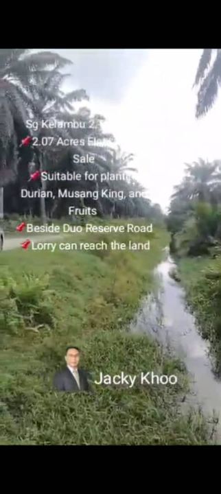 Banting Land for Sale, Sungai Kelambu 2, Banting,  📌2.07 Acres Flat Land for Sale 📌Suitable for planting Durian, Musang King, and Fruits  , Selangor, Banting