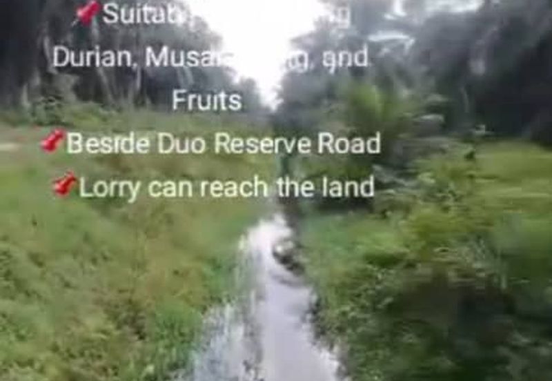 Banting Land for Sale, Sungai Kelambu 2, Banting,  📌2.07 Acres Flat Land for Sale 📌Suitable for planting Durian, Musang King, and Fruits  