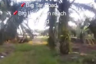 Sungai Kelambu 2, Banting,  📌3.9 Acres Flat Land for Sale 📌Big Tar Road  📌Big Lorry can reach the land