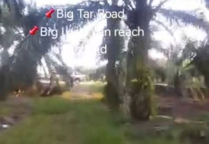 Sungai Kelambu 2, Banting,  📌3.9 Acres Flat Land for Sale 📌Big Tar Road  📌Big Lorry can reach the land