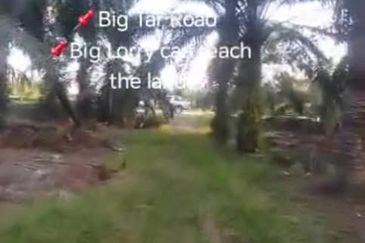 Sungai Kelambu 2, Banting,  📌3.9 Acres Flat Land for Sale 📌Big Tar Road  📌Big Lorry can reach the land