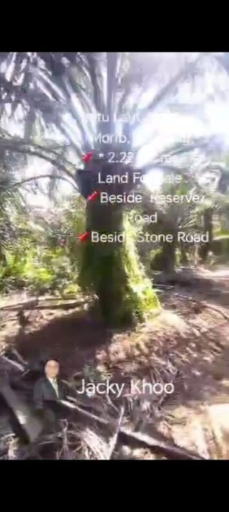 Batu Laut, Banting , Morib, Kelanang, Kanchong, 📌 * 2.23 acres Flat Land For Sale  📌Beside  Reserve Road, Selangor, Banting