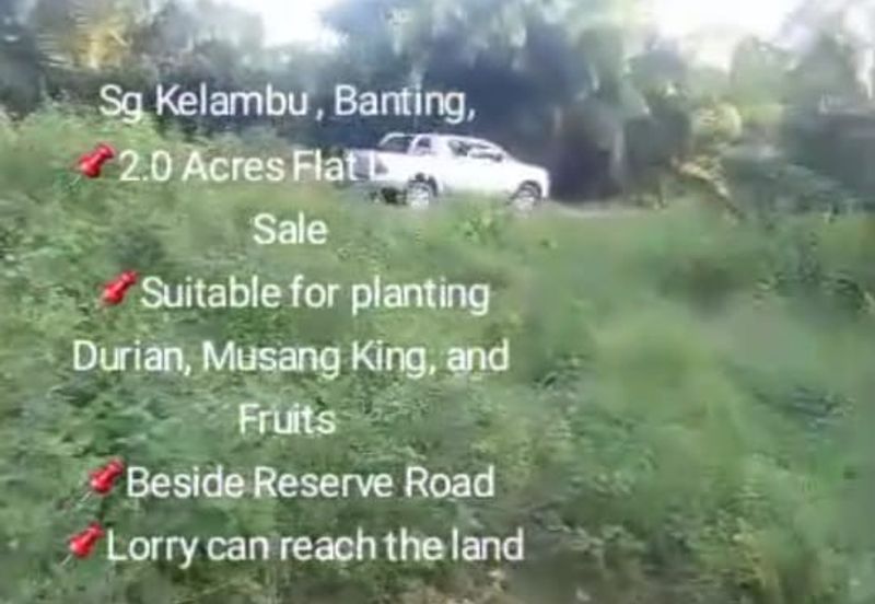 Sg Kelambu , Banting,  📌2.0 Acres Flat Land for Sale 📌Suitable for planting Durian, Musang King, and Fruits  📌Beside Reserve Road  📌Lorry can reac
