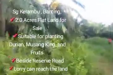 Sg Kelambu , Banting,  📌2.0 Acres Flat Land for Sale 📌Suitable for planting Durian, Musang King, and Fruits  📌Beside Reserve Road  📌Lorry can reac