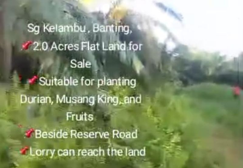 Sg Kelambu , Banting,  📌2.0 Acres Flat Land for Sale 📌Suitable for planting Durian, Musang King, and Fruits  📌Beside Reserve Road  📌Lorry can reac