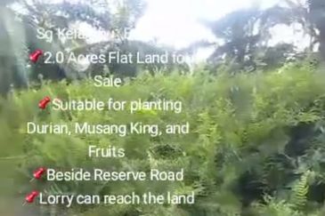 Sg Kelambu , Banting,  📌2.0 Acres Flat Land for Sale 📌Suitable for planting Durian, Musang King, and Fruits  📌Beside Reserve Road  📌Lorry can reac