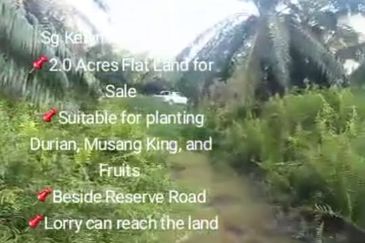 Sg Kelambu , Banting,  📌2.0 Acres Flat Land for Sale 📌Suitable for planting Durian, Musang King, and Fruits  📌Beside Reserve Road  📌Lorry can reac