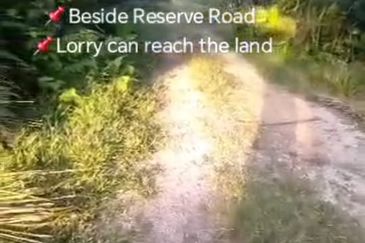 Sg Kelambu , Banting,  📌2.0 Acres Flat Land for Sale 📌Suitable for planting Durian, Musang King, and Fruits  📌Beside Reserve Road  📌Lorry can reac