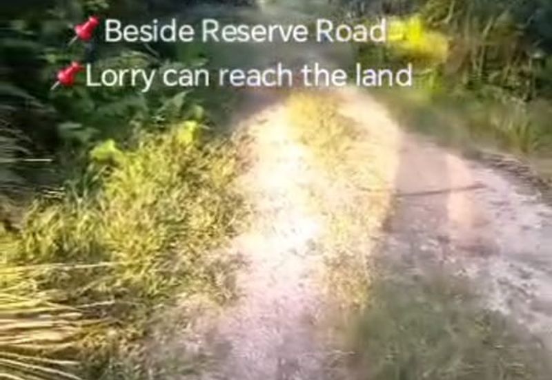 Sg Kelambu , Banting,  📌2.0 Acres Flat Land for Sale 📌Suitable for planting Durian, Musang King, and Fruits  📌Beside Reserve Road  📌Lorry can reac