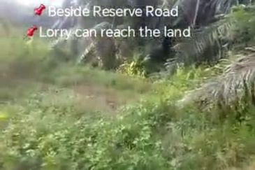 Sg Kelambu , Banting,  📌2.0 Acres Flat Land for Sale 📌Suitable for planting Durian, Musang King, and Fruits  📌Beside Reserve Road  📌Lorry can reac