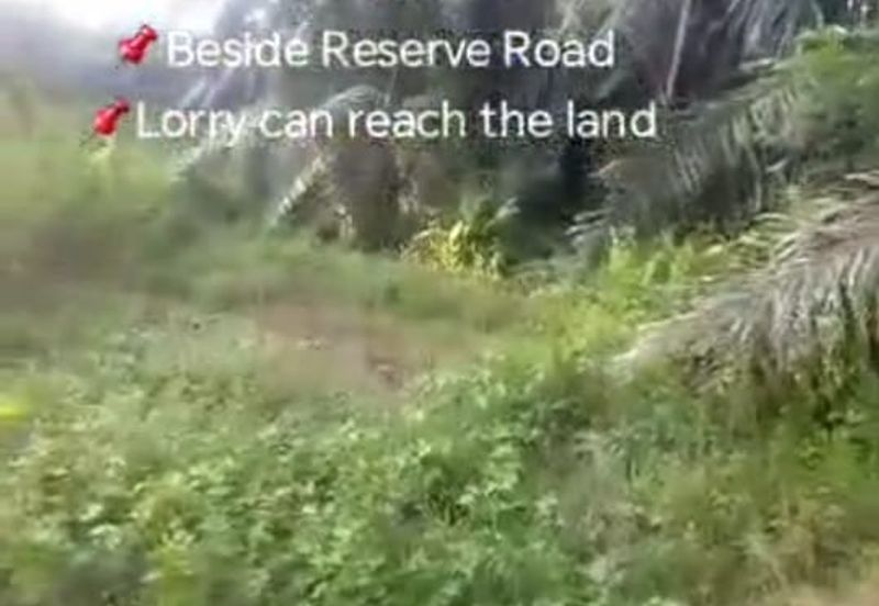 Sg Kelambu , Banting,  📌2.0 Acres Flat Land for Sale 📌Suitable for planting Durian, Musang King, and Fruits  📌Beside Reserve Road  📌Lorry can reac