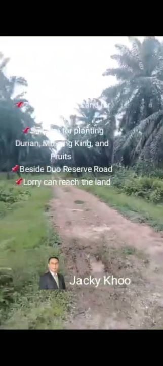 Banting Land for Sale, Sungai Kelambu 2, Banting,  📌2.07 Acres Flat Land for Sale 📌Suitable for planting Durian, Musang King, and Fruits  📌Beside D, Selangor, Banting