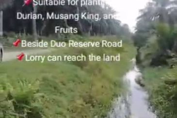 Banting Land for Sale, Sungai Kelambu 2, Banting,  📌2.07 Acres Flat Land for Sale 📌Suitable for planting Durian, Musang King, and Fruits  📌Beside D